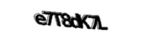 Security check image, please type the characters shown