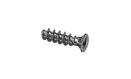 JRG SANIPEX vite PT Wn1413 ST-ZN 5x18