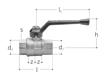 GF JRG valvola a sfera in ottone 2 1/2"
